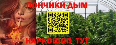 стаф Сланцы