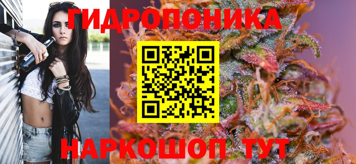 Бошки Шишки семена Курган